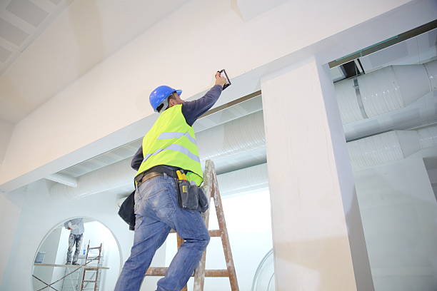 Best Drywall Repair  in Lindenwold, NJ